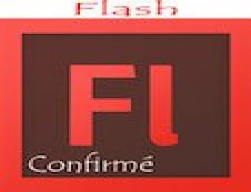 Formation Adobe Flash – Confirmés