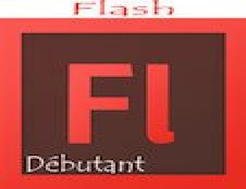 Formation Adobe Flash – Débutants