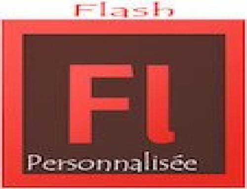 Formation Flash – Personnalisée