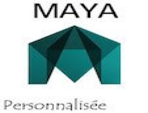 Formation Maya – Personnalisée